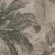 PrintSonic-Thumb.webp